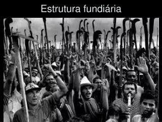estrutura fundi ria