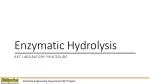 Enzymatic Hydrolysis