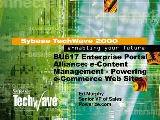 BU617 Enterprise Portal Alliance: e-Content Management - Powering e-Commerce Web Sites