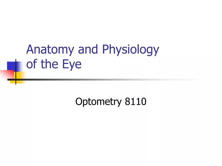 anatomy and physiology of the eye