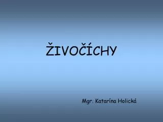 ivo chy