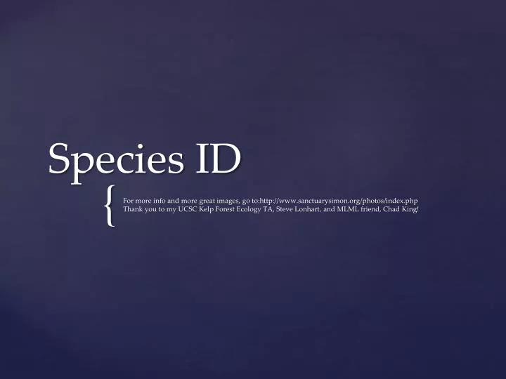 species id