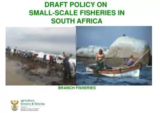 DRAFT POLICY ON SMALL-SCALE FISHERIES IN SOUTH AFRICA