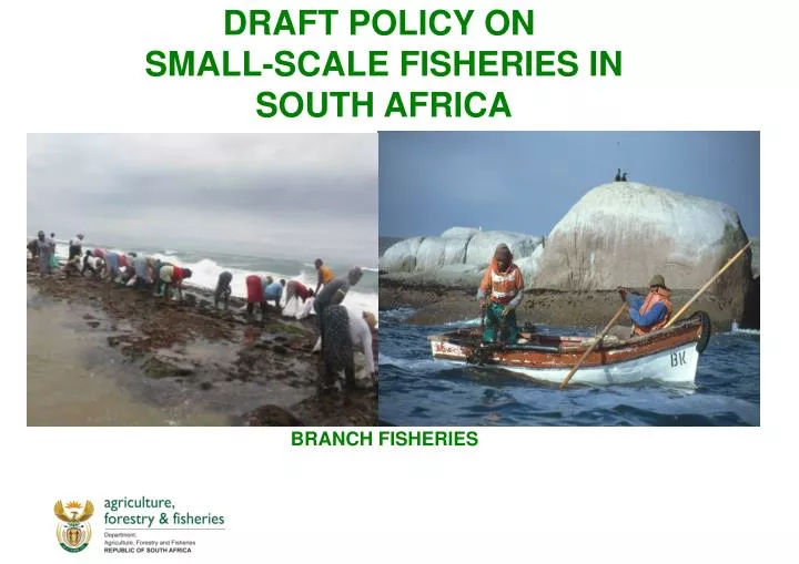 draft policy on small scale fisheries in south africa