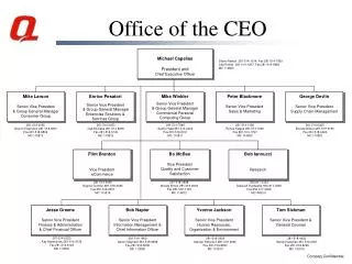 Office of the CEO
