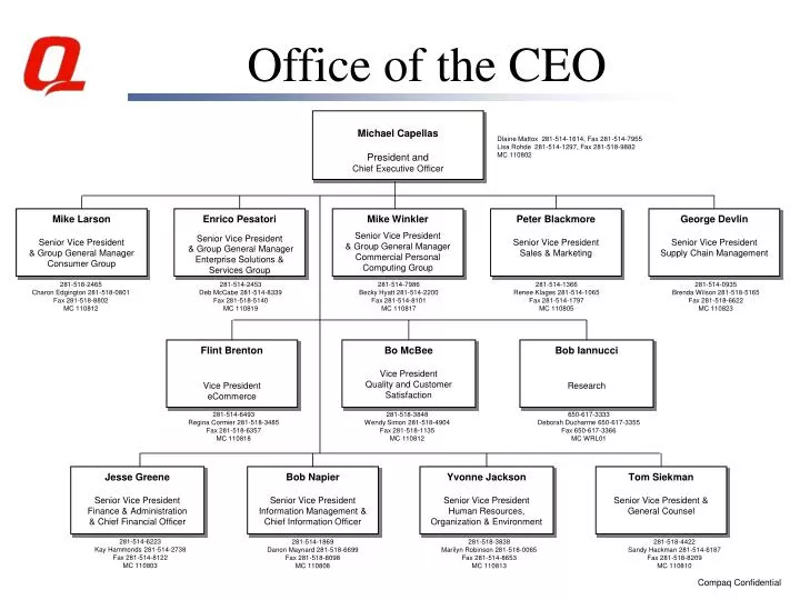 office of the ceo