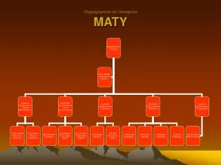 organigramme de l entreprise maty