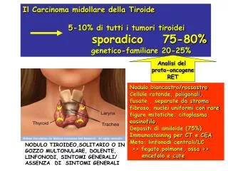 Il Carcinoma midollare della Tiroide 		5-10% di tutti i tumori tiroidei sporadico 75-80%