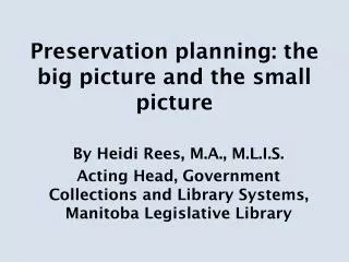 Preservation planning: the big picture and the small picture