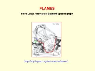 FLAMES Fibre Large Array Multi-Element Spectrograph
