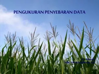 pengukuran penyebaran data