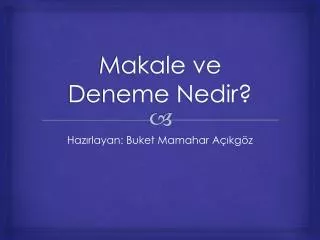 makale ve deneme nedir