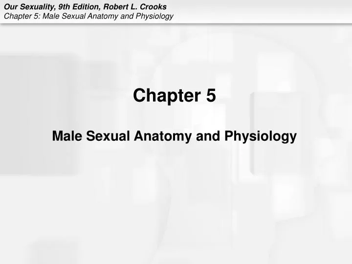chapter 5 male sexual anatomy and physiology