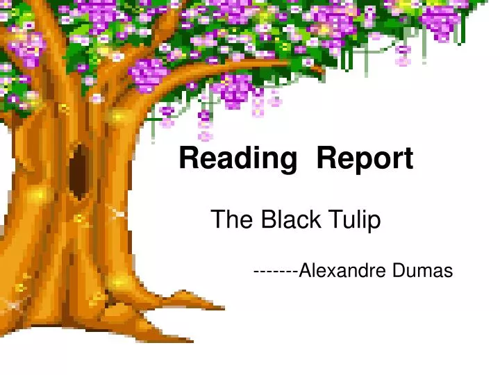 reading report