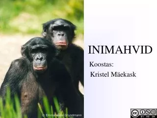 inimahvid