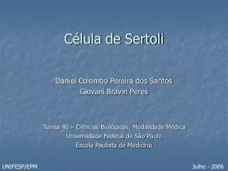 c lula de sertoli