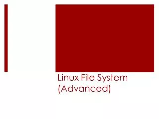 Linux File System (Advanced)