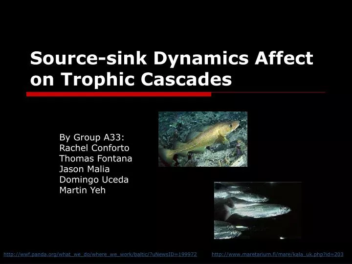 source sink dynamics affect on trophic cascades