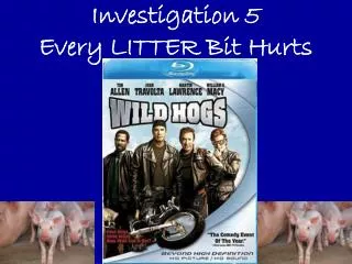 Investigation 5 Every LITTER Bit Hurts