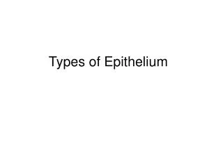 Types of Epithelium