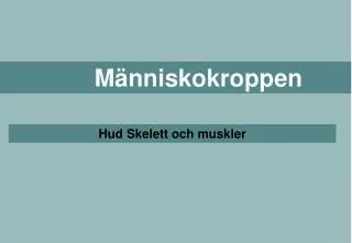 m nniskokroppen