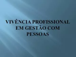 viv ncia profissional em gest o com pessoas