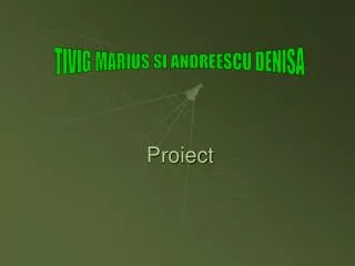 proiect