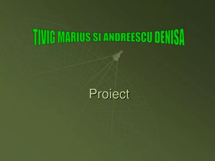 proiect