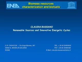 Biomass resources characterization and biofuels