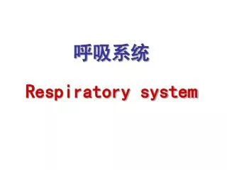respiratory system