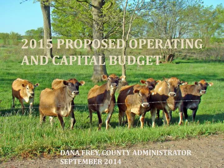 2015 proposed operating and capital budget