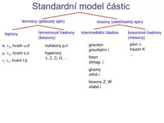 standardn model stic