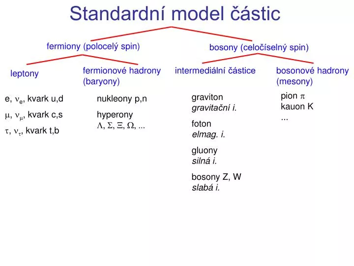 standardn model stic