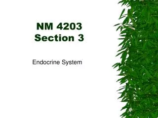 NM 4203 Section 3