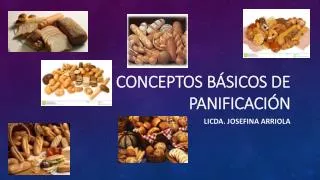 conceptos b sicos de panificaci n