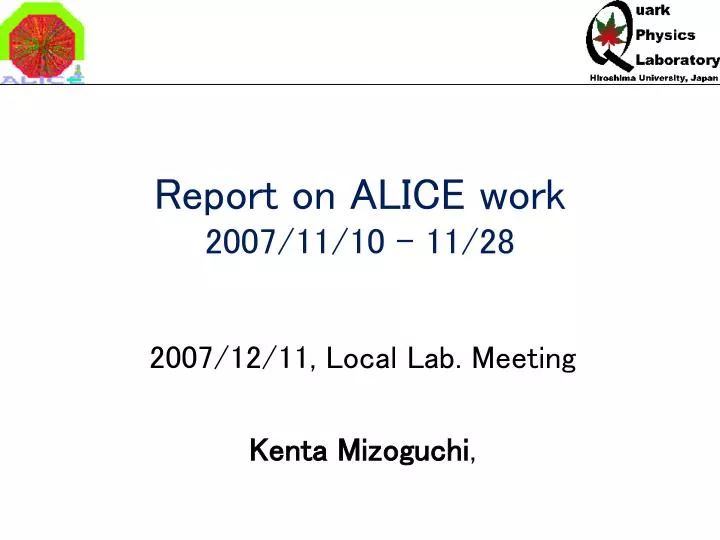 report on alice work 2007 11 10 11 28
