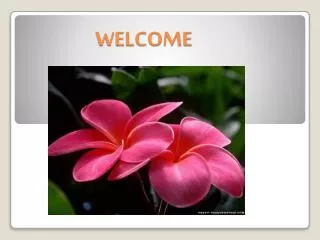 welcome