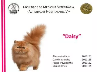 Faculdade de Medicina Veterinária Actividades Hospitalares V –