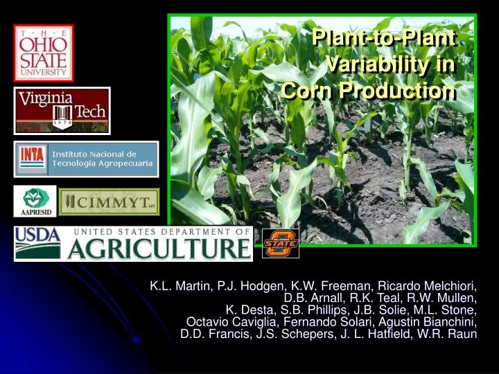 plant to plant variability in corn production