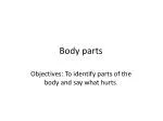 Body parts - slide 1