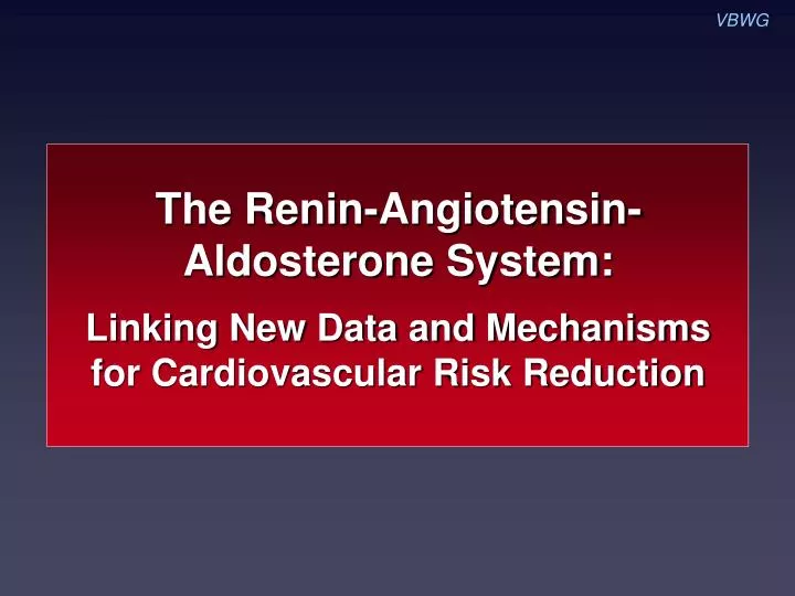 the renin angiotensin aldosterone system