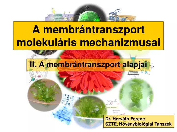 a membr ntranszport molekul ris mechanizmusai