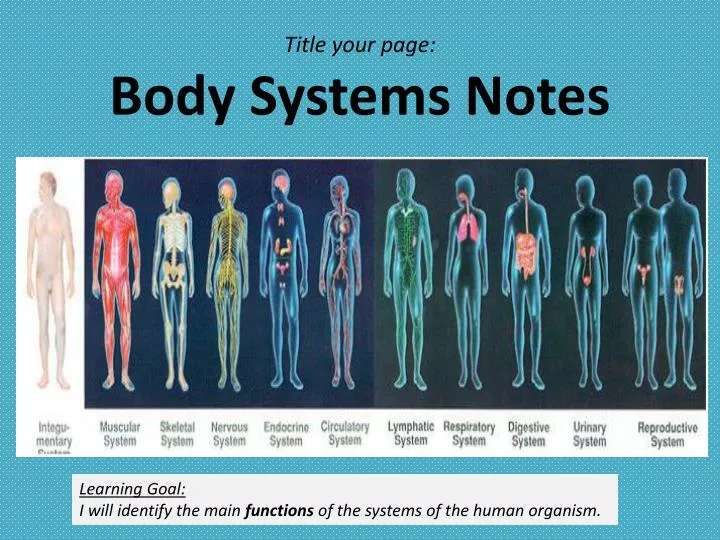 title your page body systems notes