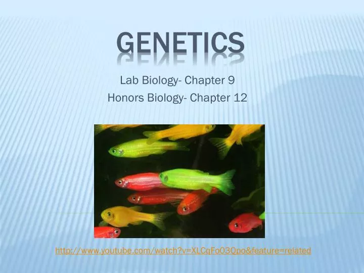 lab biology chapter 9 honors biology chapter 12