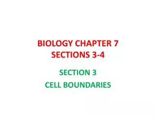 BIOLOGY CHAPTER 7 SECTIONS 3-4