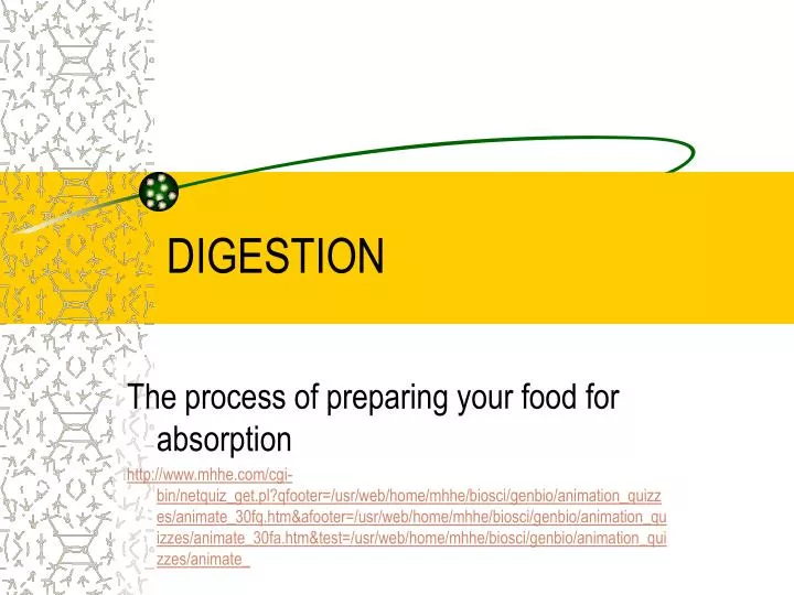 digestion