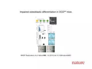 MHGP Raaijmakers et al. Nature 000 , 1 - 6 (2010) doi:10.1038/nature08 851