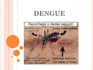dengue