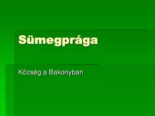 s megpr ga