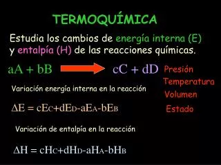termoqu mica